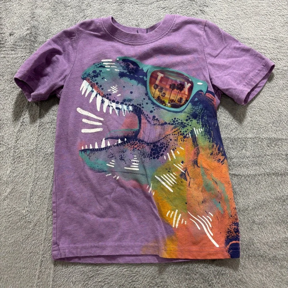 Carter's Garanimals 4T Multicolor Dinosaur T-Shirt Sweatshirt Lot Casual Vintage